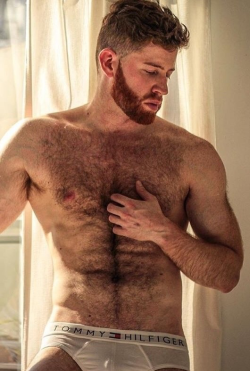 thefurryforest: