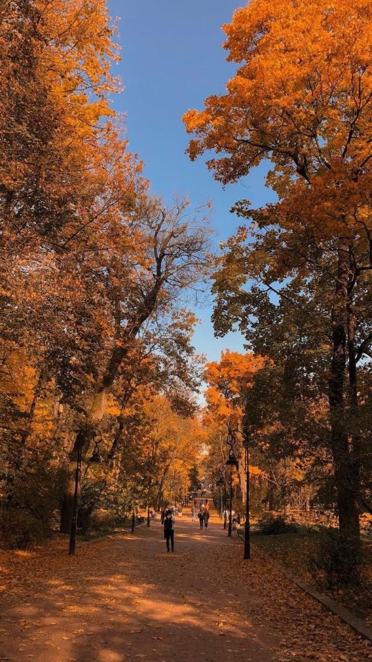 somethingsomethingtralala - Spooking, Spice, & All Autumn Nice