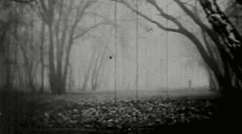 tiredtangerine: La première nuit (1958)