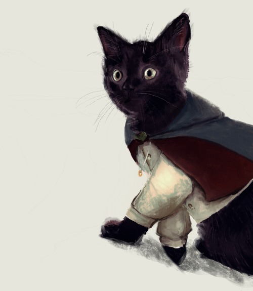 May I Present To You My Cat- Who Of Course Is Named Frodo.
