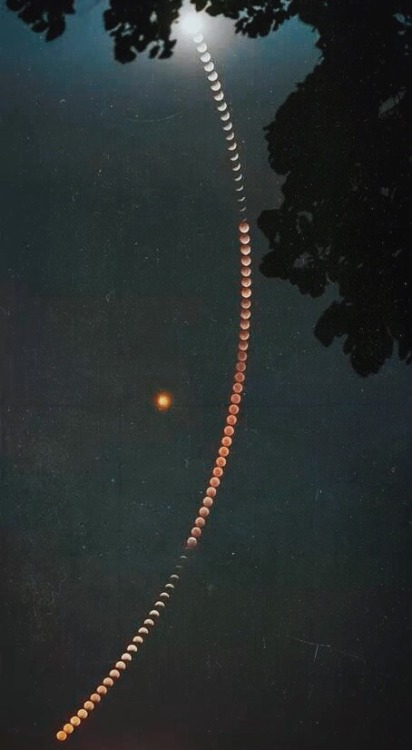 mehreenqudosi: lunar eclipse with mars opposition. moon like a mangalsutra.