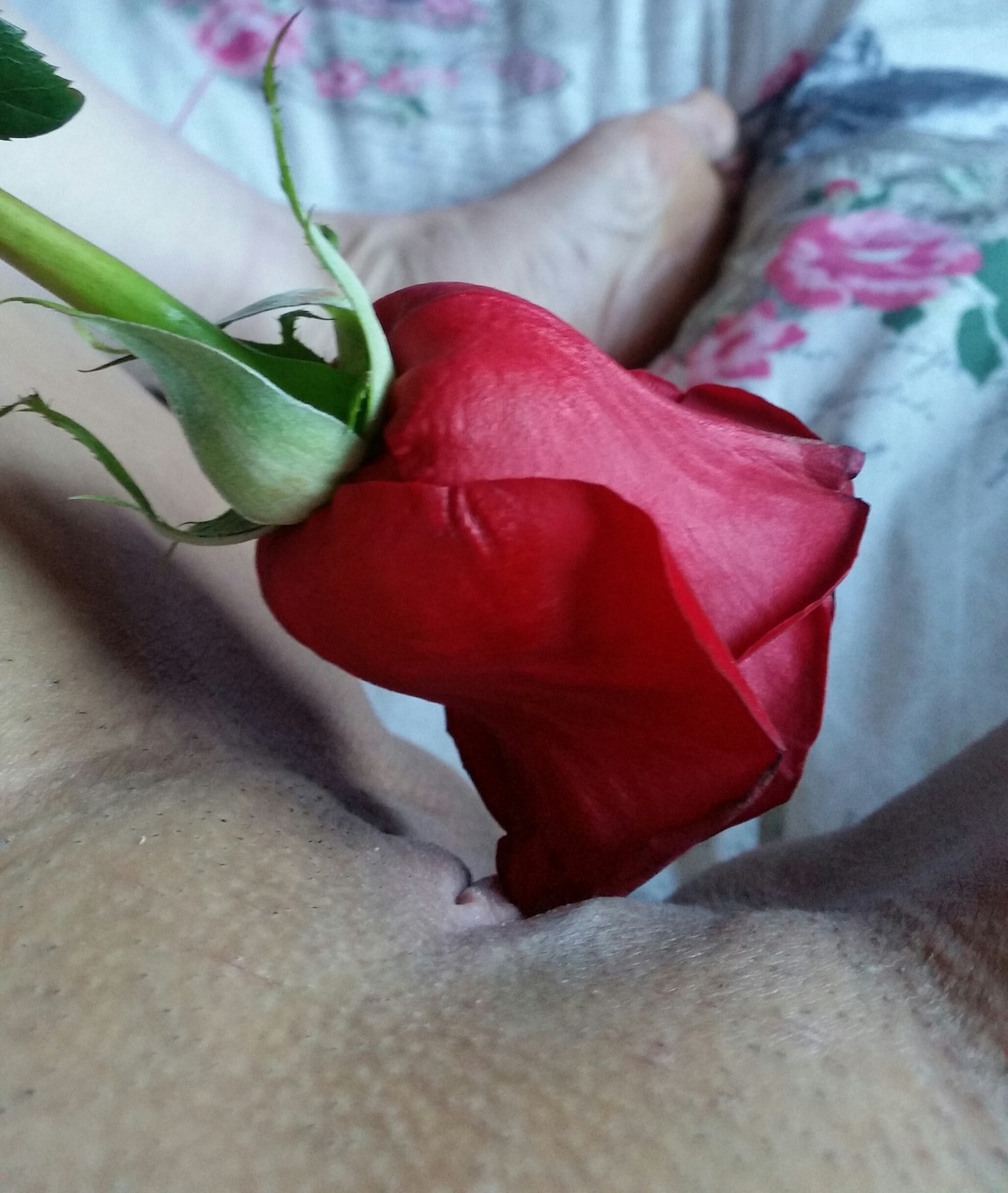 brujitalove:  Morning