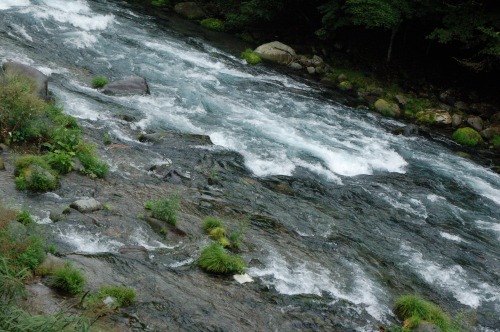 River through Nikko