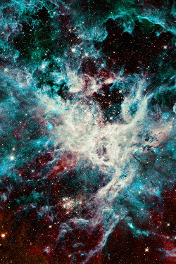 weareallstarstuff:  Tarantula Nebula 