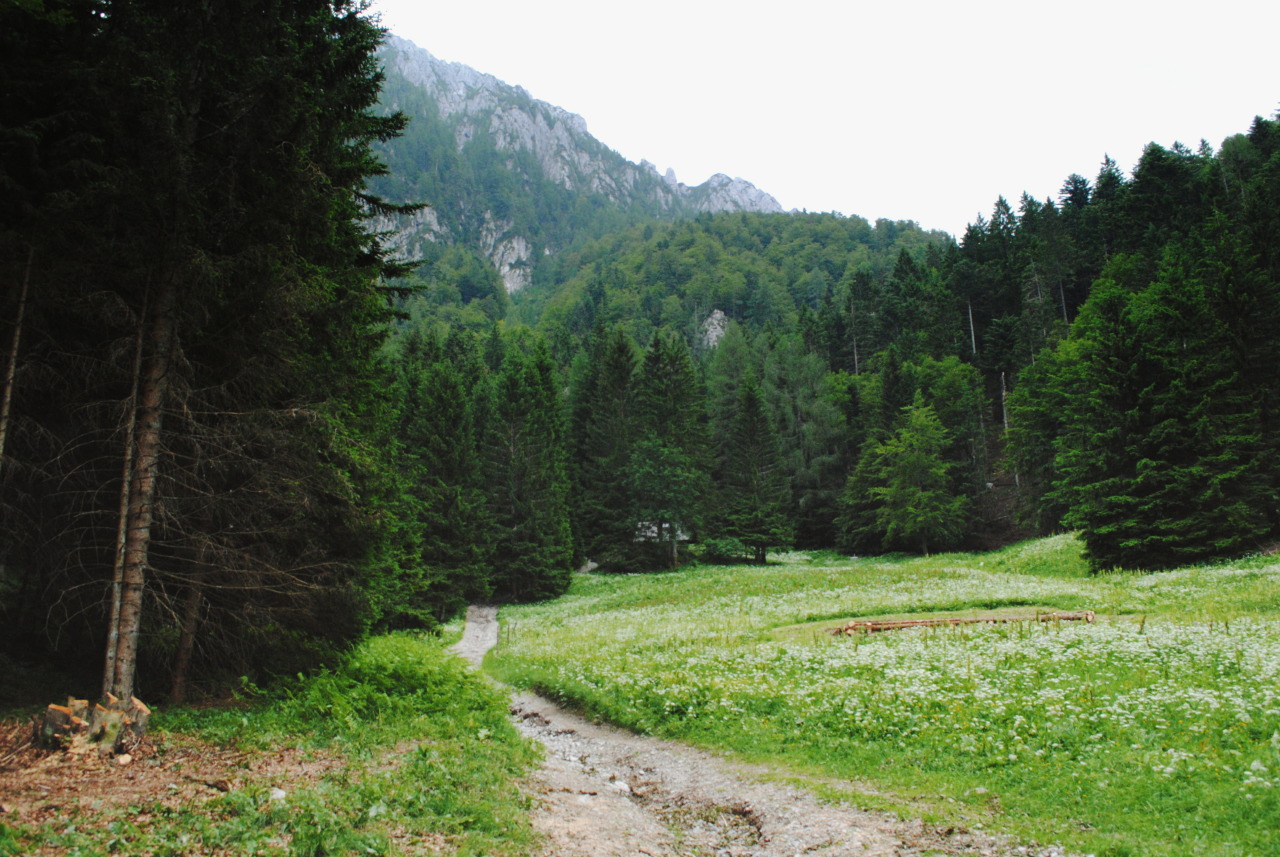 eartheld:  trianglesaremyfav:  i wanna go here and sleep in a tent and wake up to