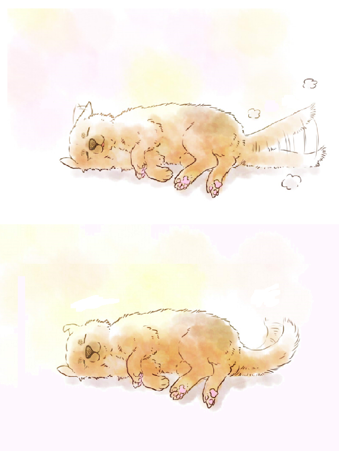 nonchalant-fork:  lbent:  こきあい  Wolf butt 