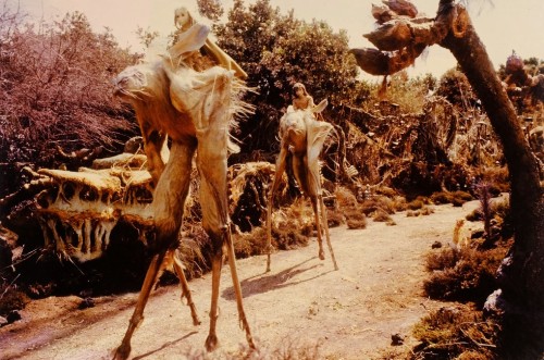 The Dark Crystal (1982)