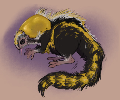 A drawing of a scruffy-looking rodent-like creature with fur colored in black & yellow, with bits of white. It has big eyes, a long fluffy tail, and grabby little hands. Its shoulders are covered by a beetle-like carapace, and a long thin tongue hangs from its mouth.