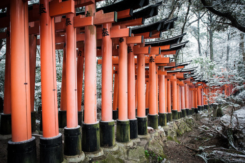 japan-overload:Fushimi Inari - Torii in Snow by @Mahalarp on Flickr.