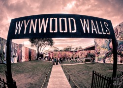 seanwashere:  Wynwood Walls.  Wynwood, Miami