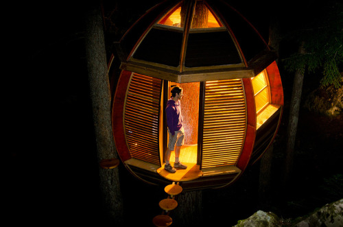 treehauslove:  The HemLoft Treehouse. A wooden egg-shaped structure built somewhere in the Whistler Woods, Canada. Built mostly from recycled materials the treehouse is a demonstration of an excellent craftsmanship and endless creativity.  