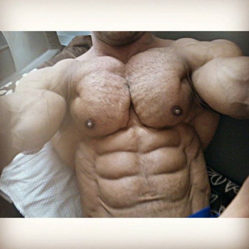 Big, beefy beef.