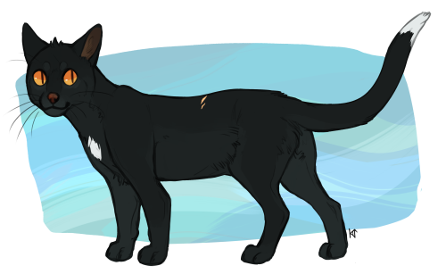 I honestly always wished that Firestar would give Ravenpaw his full name during one of their later v
