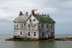 abandonedandurbex:Last house on Holland Island,