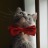ripley-cat:Love this baby girl so much