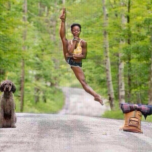 Michaela DePrince Flexible Ebony Ballerina