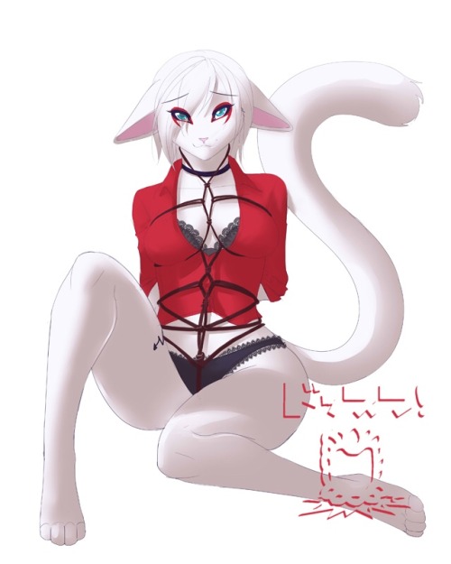 furs-yiff-hub: - Bondage and Panties requested