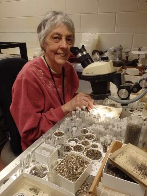 Jane Colwell-Danis was the first female vertebrate palaeontologist in Canada to be formally trained 