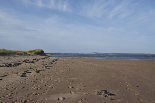 Tentsmuir Beach, FifeI love walking barefoot on soft sand and this beach has definitely filled my cu