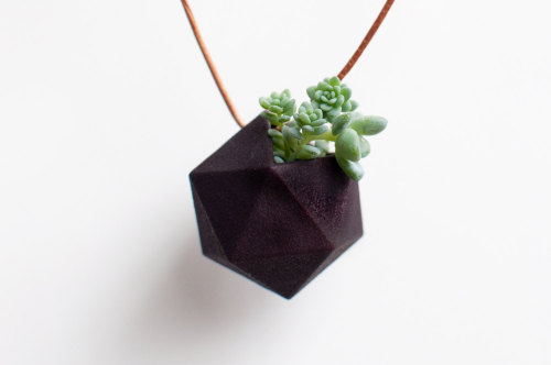 Icosahedron Wearable Planter in Black by  Colleen Jordan