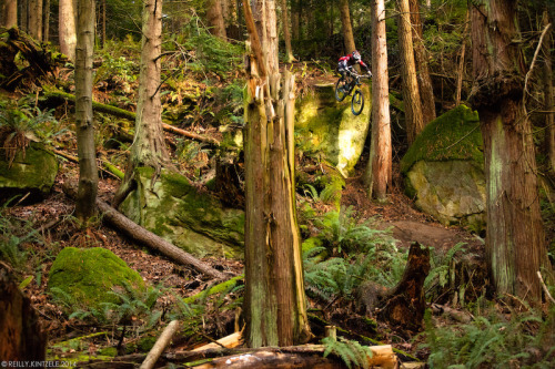 chirosangaku: Video: Jonathan Allyn Rides Cascadia Trails - Pinkbike