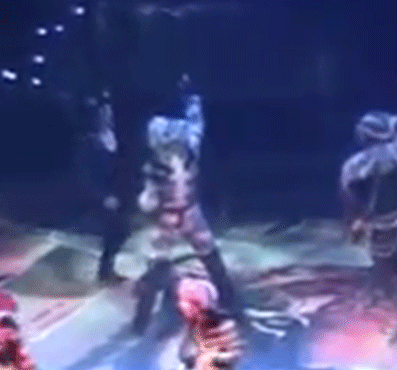 Mistoffelees & Rum Tum Tugger Showering Munkustrap With Love / Annoying Him