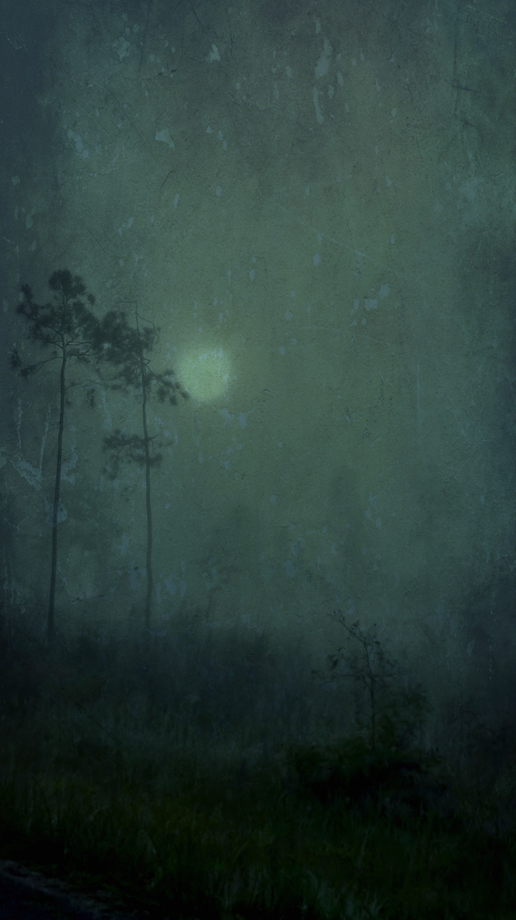 mojo5050:  ‘two pines’ 