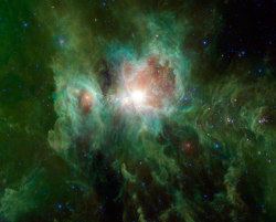 nasasapod:  Infrared Orion from WISE Image