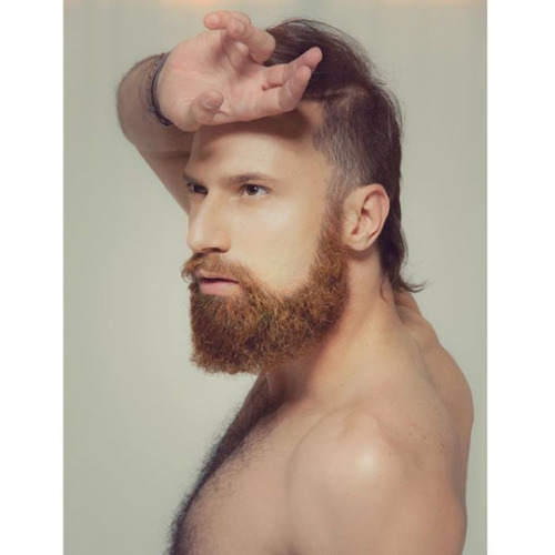 hairy nice men