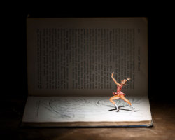 asylum-art:  Brilliant Book Art by Thomas