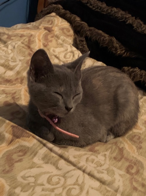 THEY GROW UP SO FAST