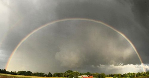 Happy Pride Month Nature is amazing.#thelittlethings #naturephotography #rainbow #pridemonth #doub