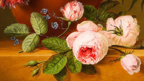 florealegiardini:A still life of peonies, roses, honeysuckle, poppies, a crown imperial, rhododendrons and other flowers in a terracotta urn on a ledge (detail), Arnoldus Bloemers (Dutch, 1792-1844)