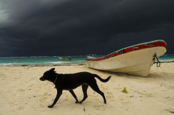 indiee: tanatoxic:  Tulum, Mexico.  @rottingseams