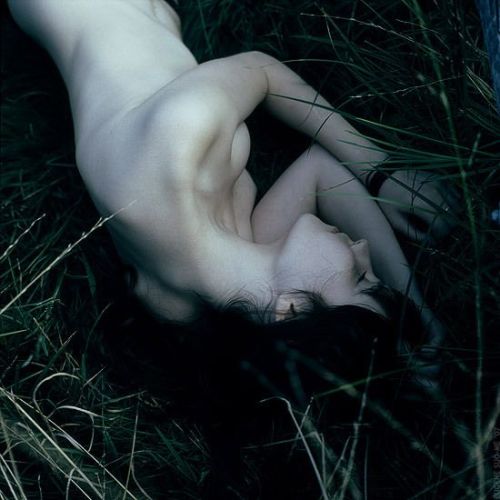 false serenitythe seemingly quiet hasturned into silence
