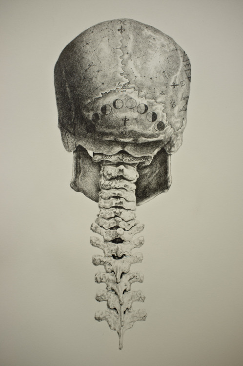 andyvandinh:  His Momentous Burden, 2014 pencil on paper 