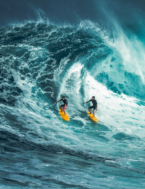 cleanandsupreme:  Don’t just reblog, Follow for more Clean posts! http://cleanandsupreme.tumblr.com/