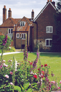 artschoolglasses:  In the gardens of Jane Austen’s house, Chawton 