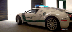 goldbriccs:  vivalafre:  cjsdivineillusion:  garysgalaxy:  Dubai has a 6.5 million dollar police force. They drive around the Bugatti Veyron and other amazing super cars as well.  🔥🔥🔥  Are u fucking kidding me  what   6.5 million? A Veyron is