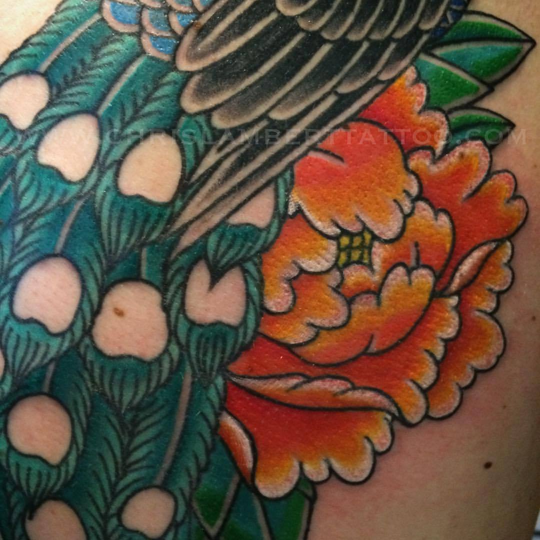 Weezy Peacock feather plume and Japanese cherry blossoms  GOLD STRIPE  TATTOO