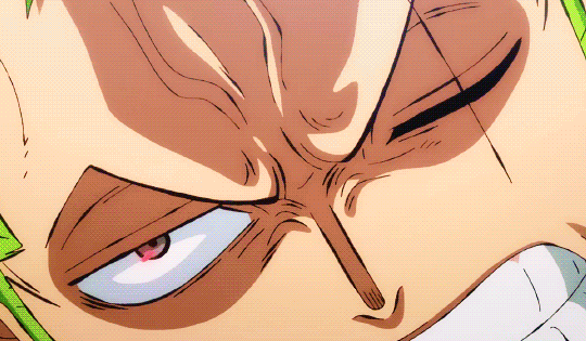 Onepiece 942 Explore Tumblr Posts And Blogs Tumgir