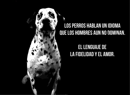 Todo Es Sobre Ti, El Resto Es Temporal⏳