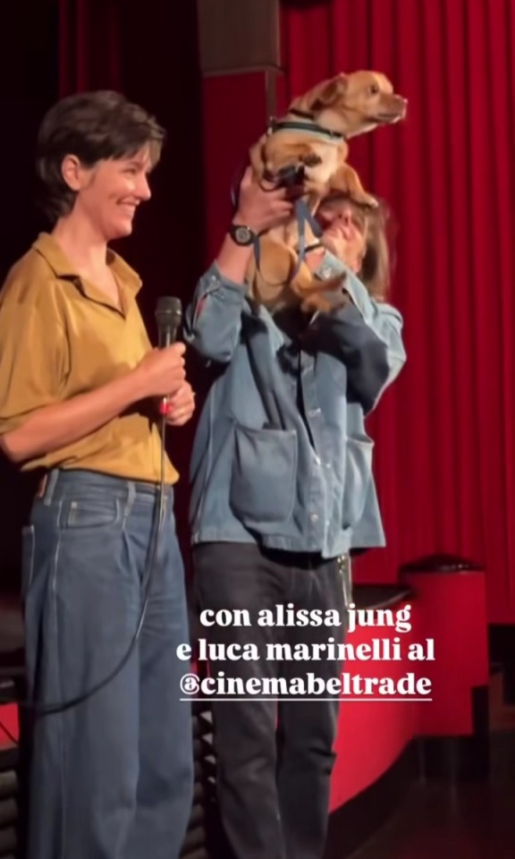 Tumblr media