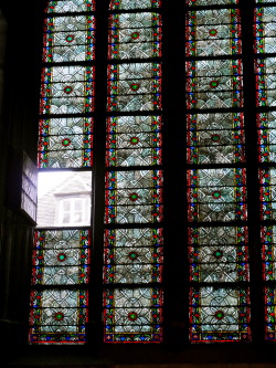 lindenardenshighlights:Window, Notre Dame, Paris