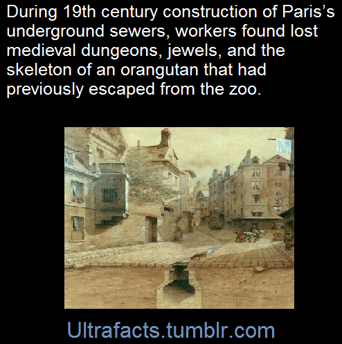 ultrafacts:  SourceFollow Ultrafacts for more facts