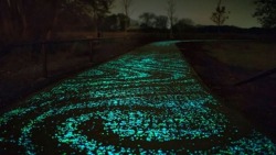 8bitfuture:  Glow in the dark cement patented.A