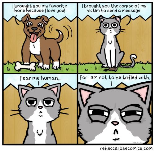 Catsbeaversandducks:  By Rebecca Rose Comics