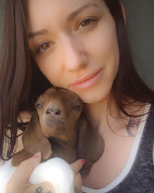 The latest addition to my herd is this tiny little thing. I love baby animals! ⁣ .⁣ .⁣ .⁣ .⁣ .⁣ #far