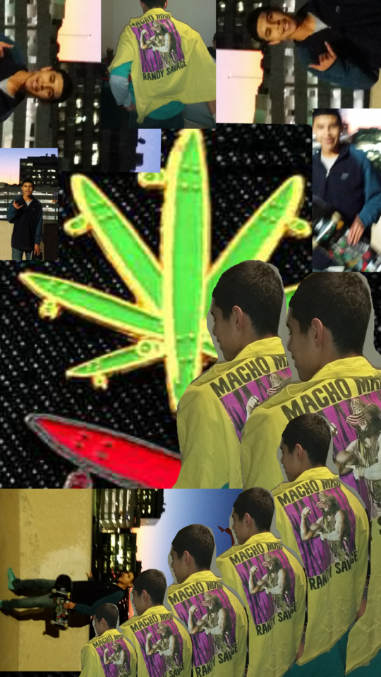 Tumblr media