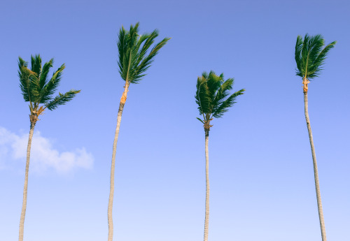 Punta Cana, Dominican Republic